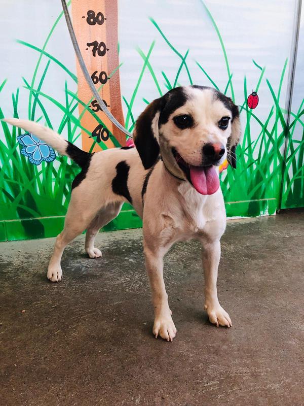 multimedia-foto59736-571-1