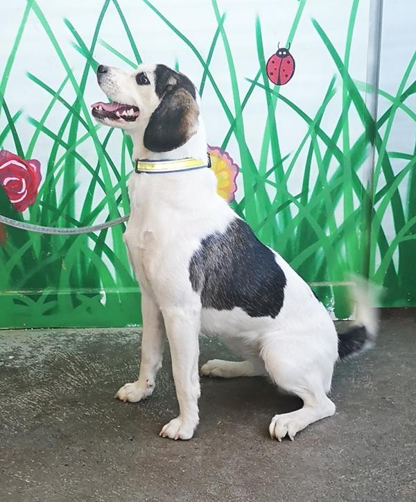 multimedia-foto59737-571-1