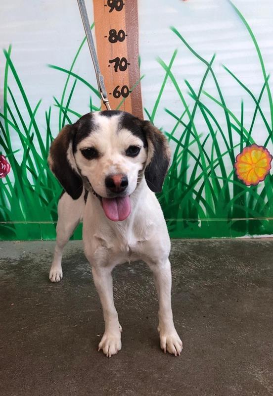 multimedia-foto59738-571-1