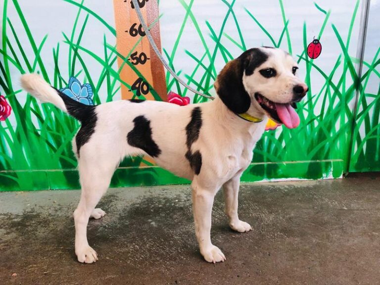 multimedia-foto59739-571-1