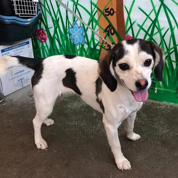 multimedia-foto59740-572-1