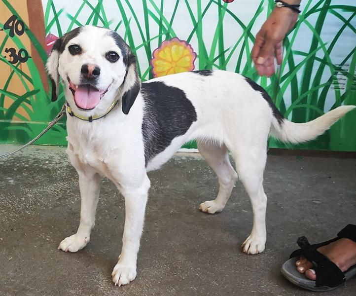 multimedia-foto59741-572-1