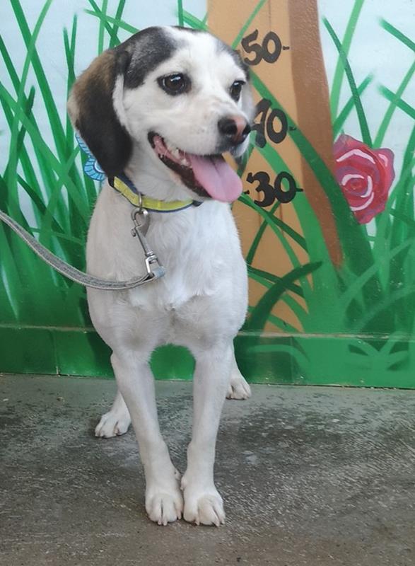 multimedia-foto59742-572-1