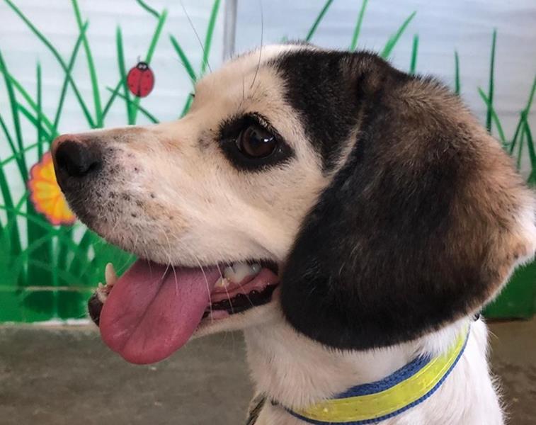 multimedia-foto59743-572-1