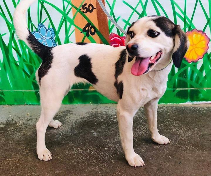 multimedia-foto59744-572-1