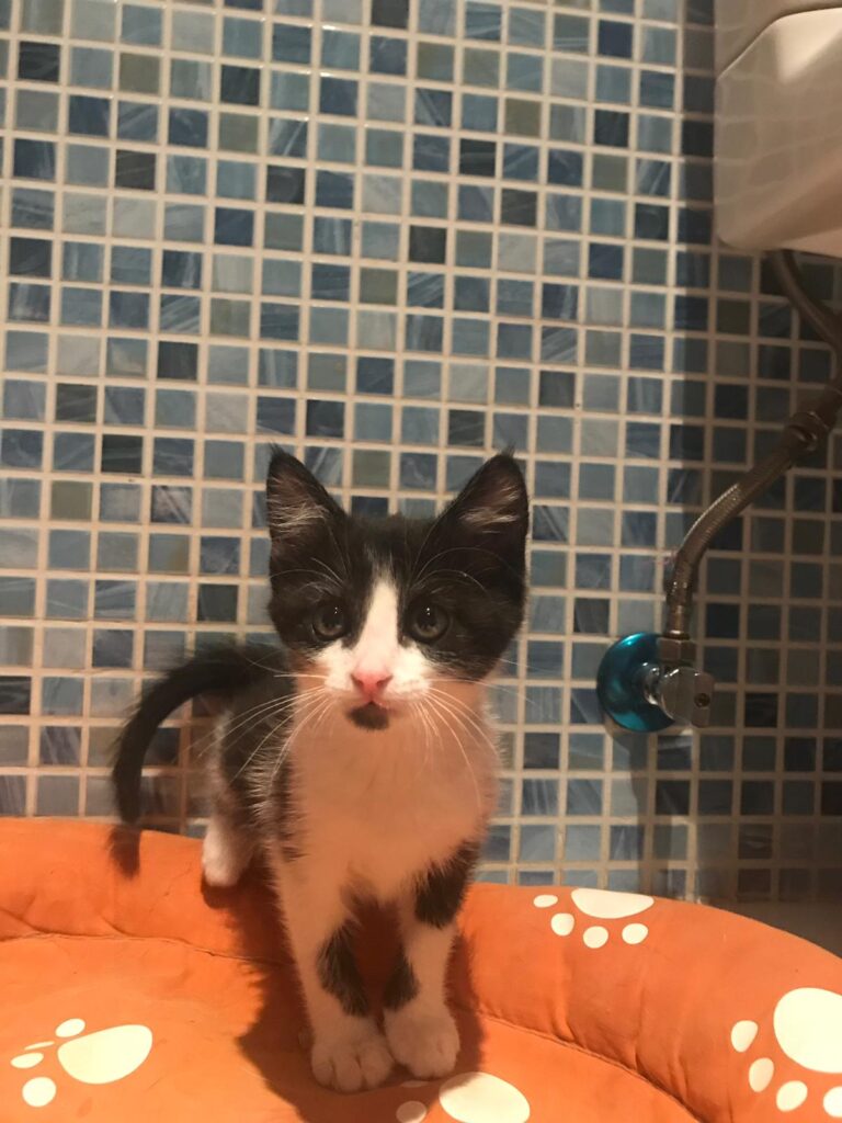 multimedia-foto59747-797-1