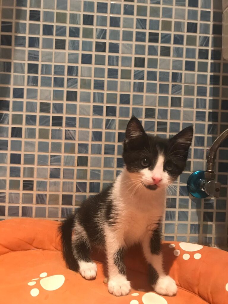 multimedia-foto59748-797-1