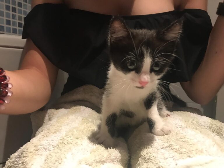 multimedia-foto59753-913-1