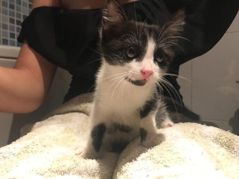 multimedia-foto59756-914-1