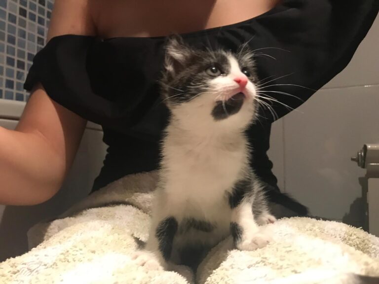 multimedia-foto59757-914-1