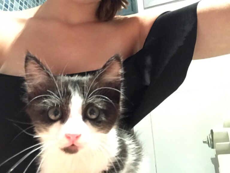 multimedia-foto59759-915-1