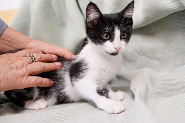 multimedia-foto59760-628-1