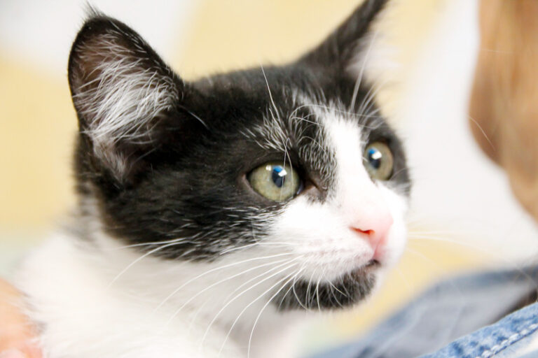 multimedia-foto59765-629-1