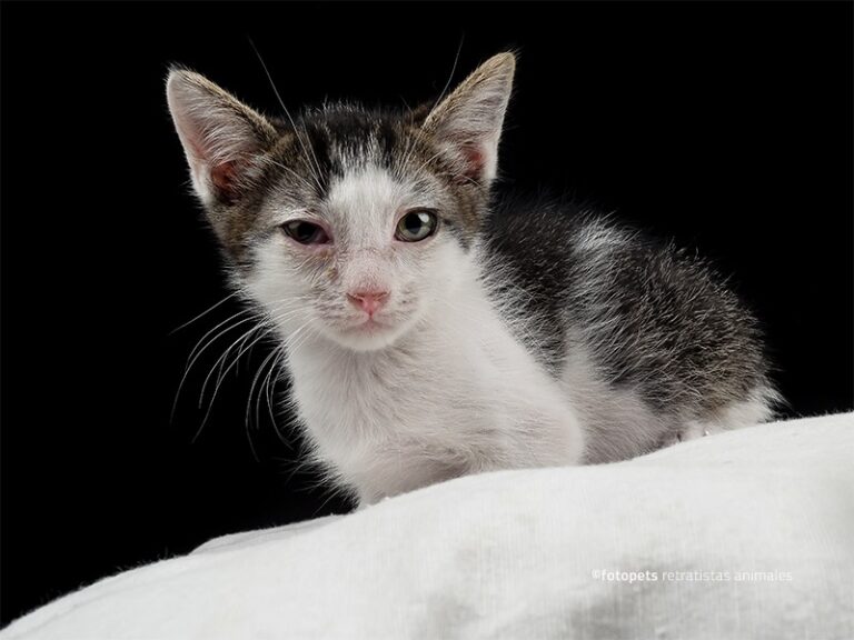 multimedia-foto59787-116-1