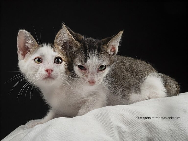 multimedia-foto59788-116-1