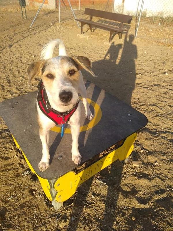 multimedia-foto59794-537-1