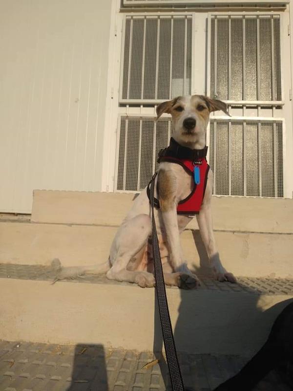 multimedia-foto59795-538-1