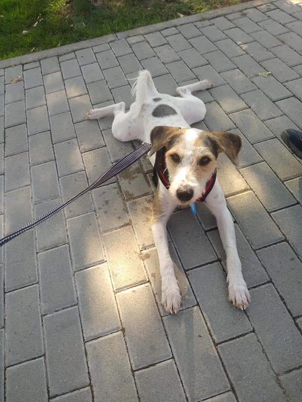 multimedia-foto59796-538-1