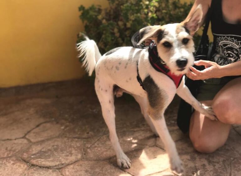 multimedia-foto59797-538-1