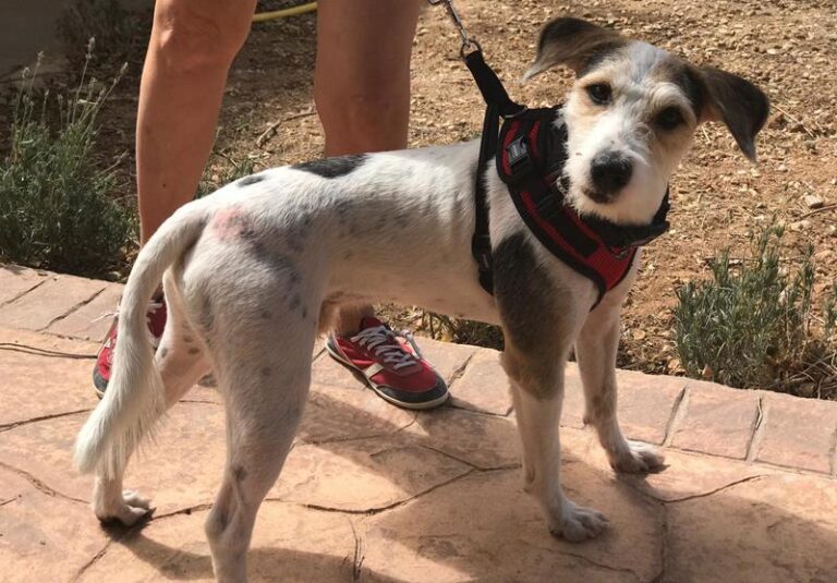 multimedia-foto59798-538-1