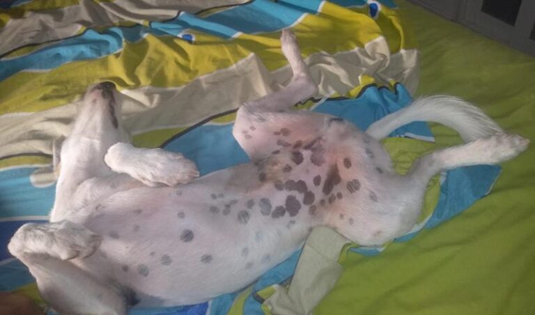 multimedia-foto59799-539-1