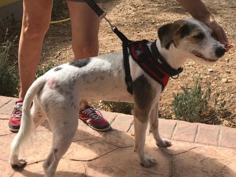 multimedia-foto59800-539-1