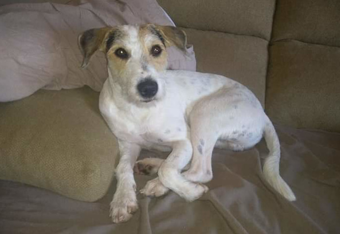 multimedia-foto59802-539-1