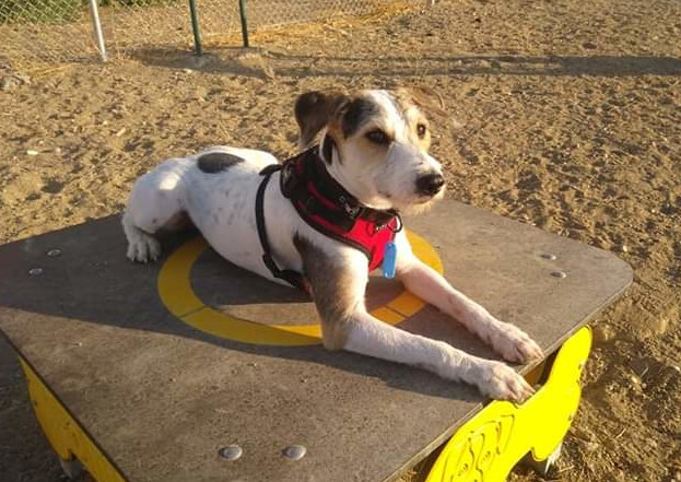 multimedia-foto59803-539-1