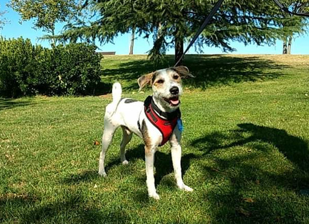 multimedia-foto59804-540-1