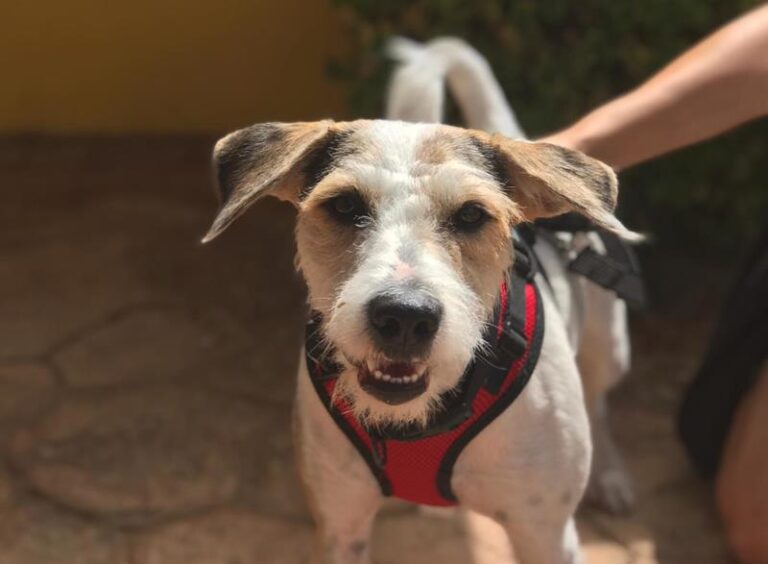 multimedia-foto59805-540-1