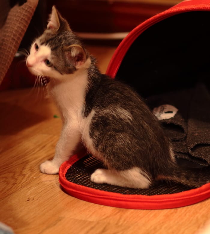 multimedia-foto59811-552-1