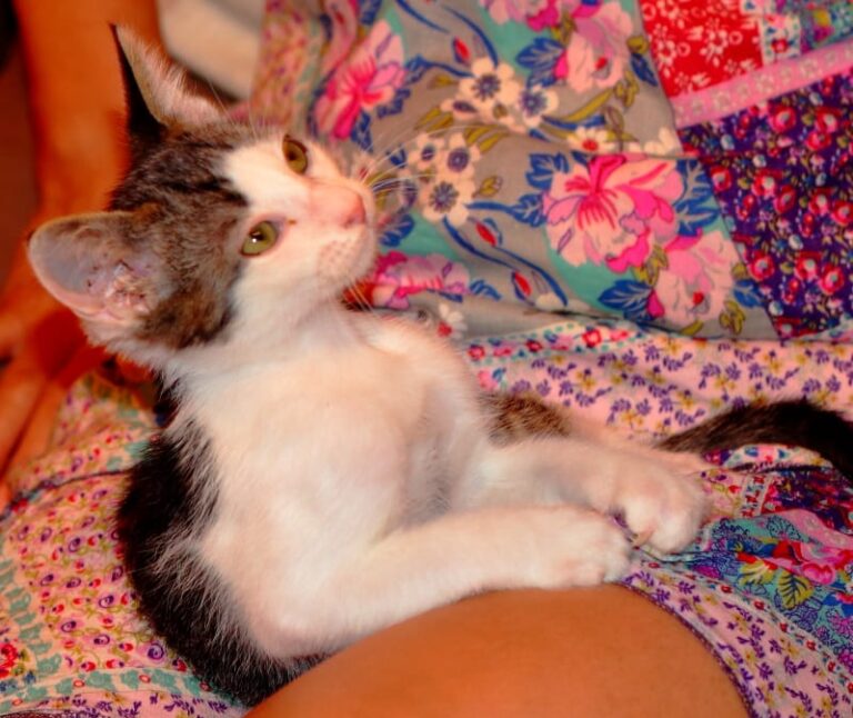 multimedia-foto59812-552-1