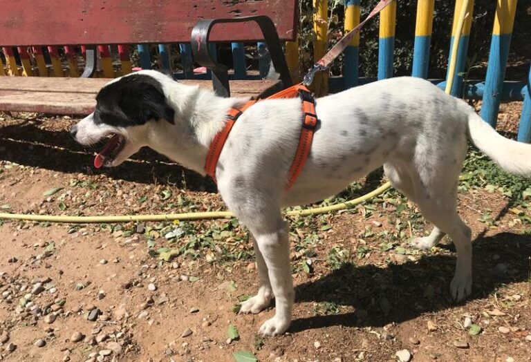 multimedia-foto59820-591-1