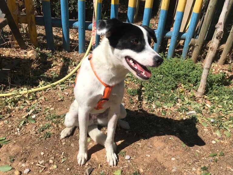 multimedia-foto59821-591-1