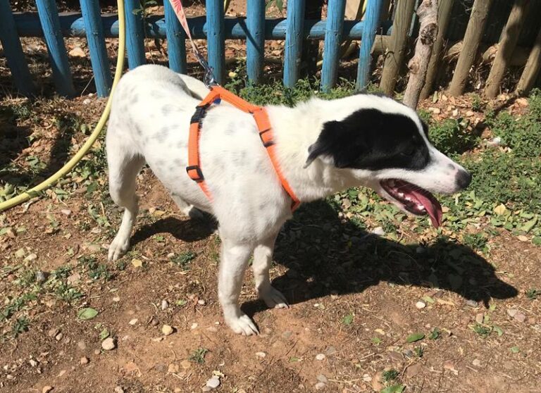 multimedia-foto59822-591-1