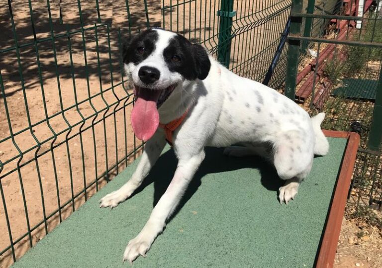 multimedia-foto59823-591-1