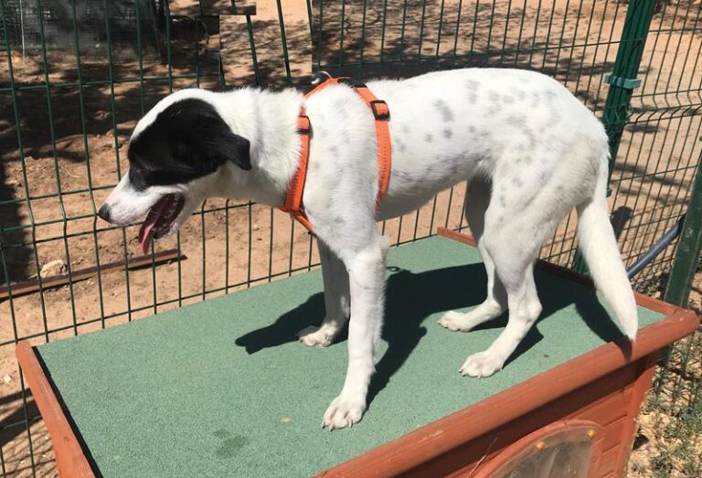 multimedia-foto59824-591-1