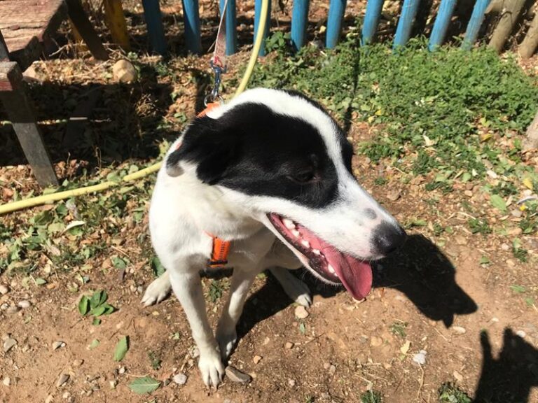 multimedia-foto59825-592-1