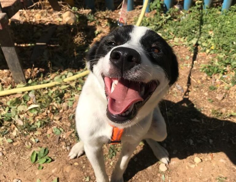 multimedia-foto59826-592-1