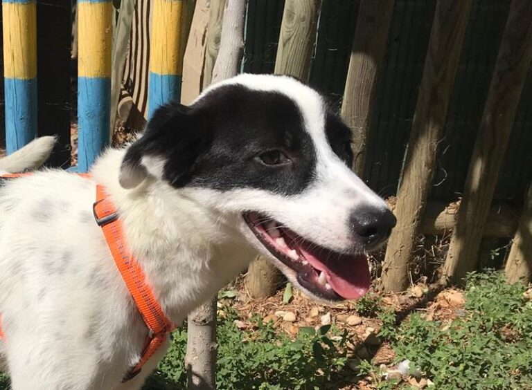 multimedia-foto59827-592-1