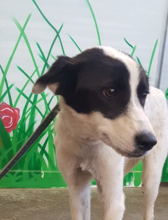 multimedia-foto59828-592-1