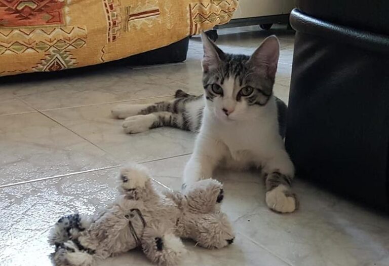 multimedia-foto59840-819-1