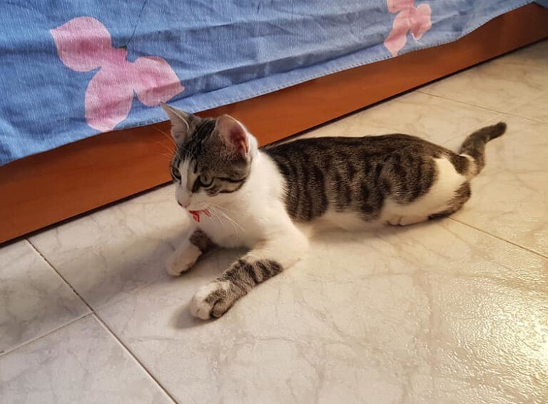 multimedia-foto59841-819-1