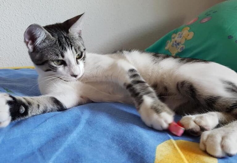 multimedia-foto59842-820-1