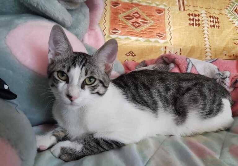 multimedia-foto59843-820-1