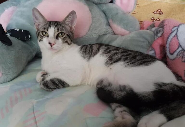 multimedia-foto59844-820-1