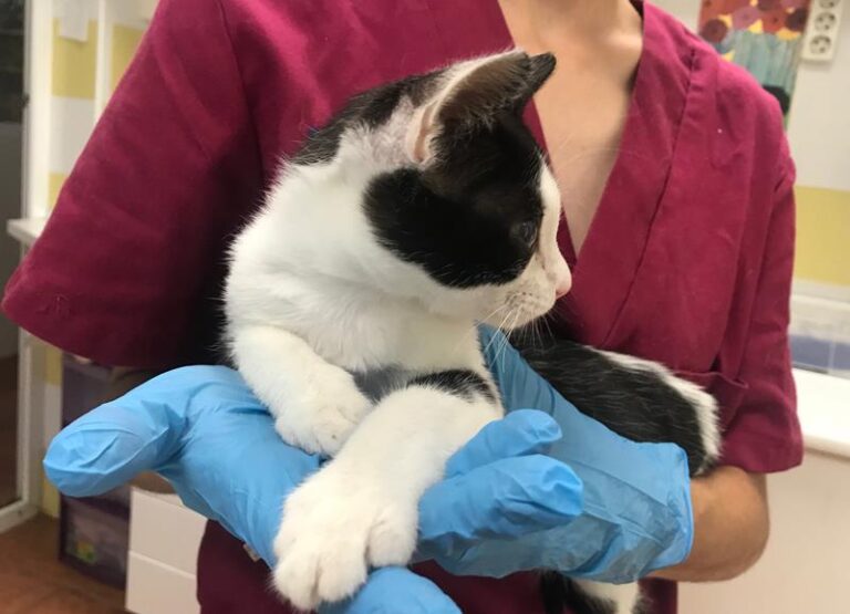 multimedia-foto59849-723-1