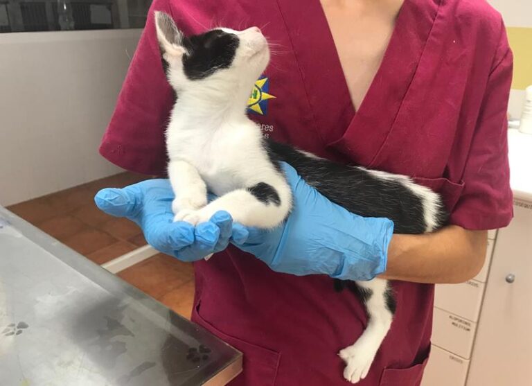 multimedia-foto59850-723-1