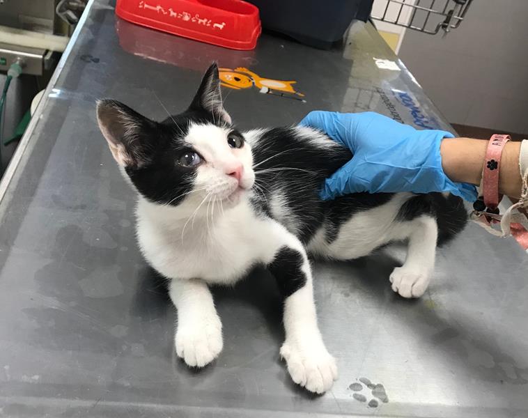 multimedia-foto59852-724-1