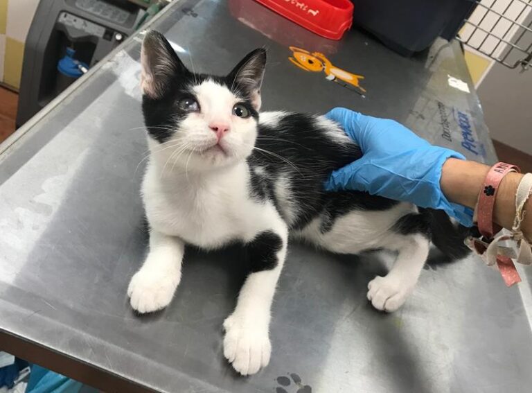 multimedia-foto59853-724-1